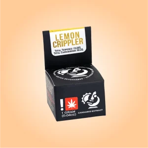 Custom CBD Terpenes Boxes - Image 4